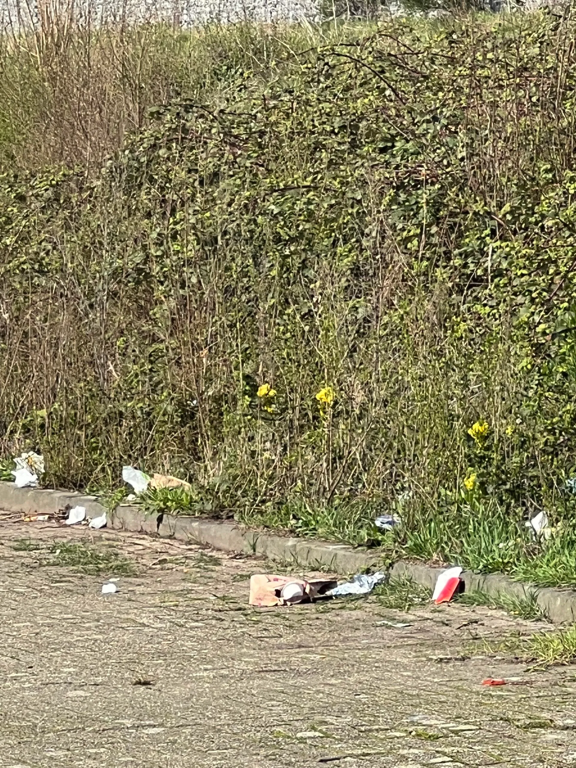 Zwerfafval langs parkeerterrein in het Stationskwartier Breda met afval en rommel in berm als voorbeeld van noodzaak voor buurtopruimactie